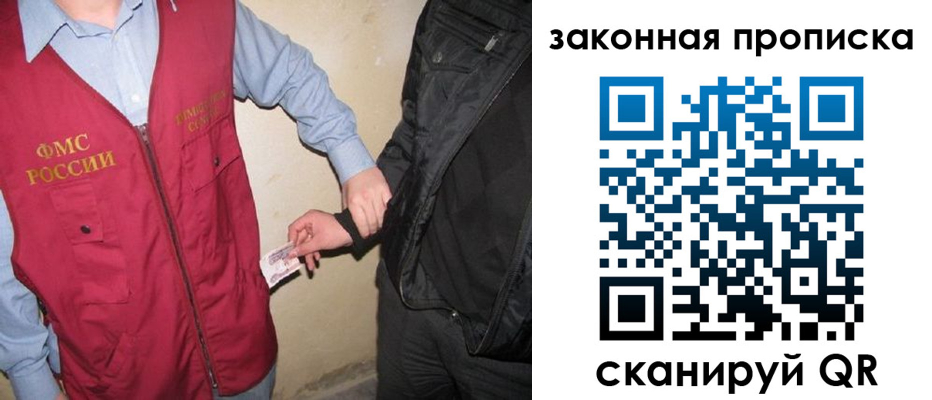 прописка для школы в Протвино